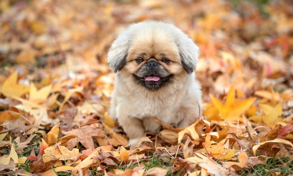 格安SIMのスマホ代は速度に関する実測データでどう変わる？