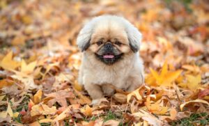 格安SIMのスマホ代は速度に関する実測データでどう変わる？