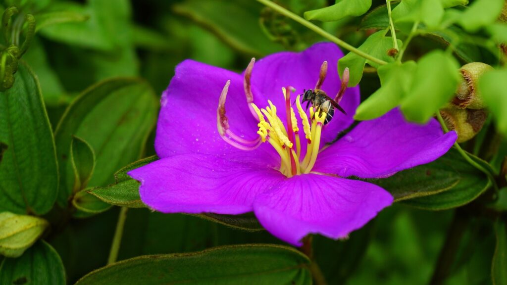 格安SIMの支払いを見直すためのコツは？