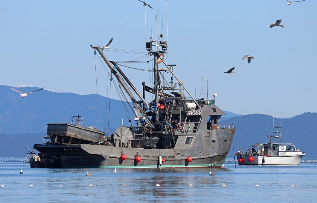 格安SIM料金比較で3GBのおすすめプランは？