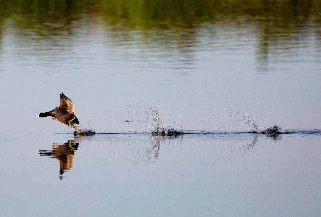 格安SIM料金比較で通話込みの最適プランは？
