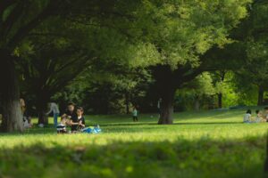 家族向けの格安simで一番お得なのはどこ？