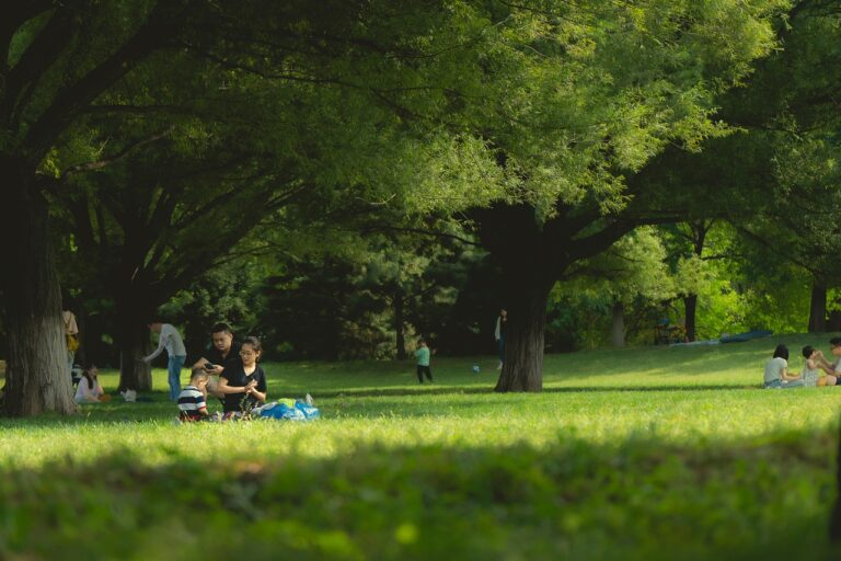 家族向けの格安simで一番お得なのはどこ？